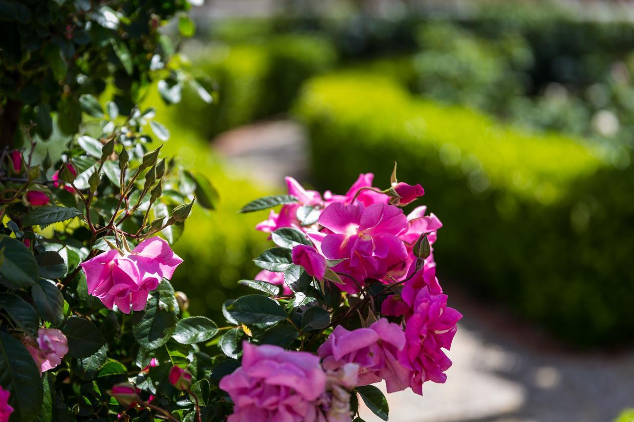 Bed and Breakfast Barossa House Tanunda Exterior foto