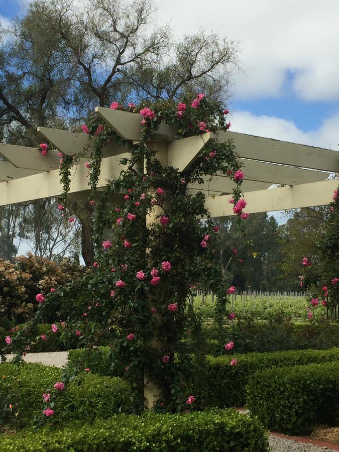 Bed and Breakfast Barossa House Tanunda Exterior foto