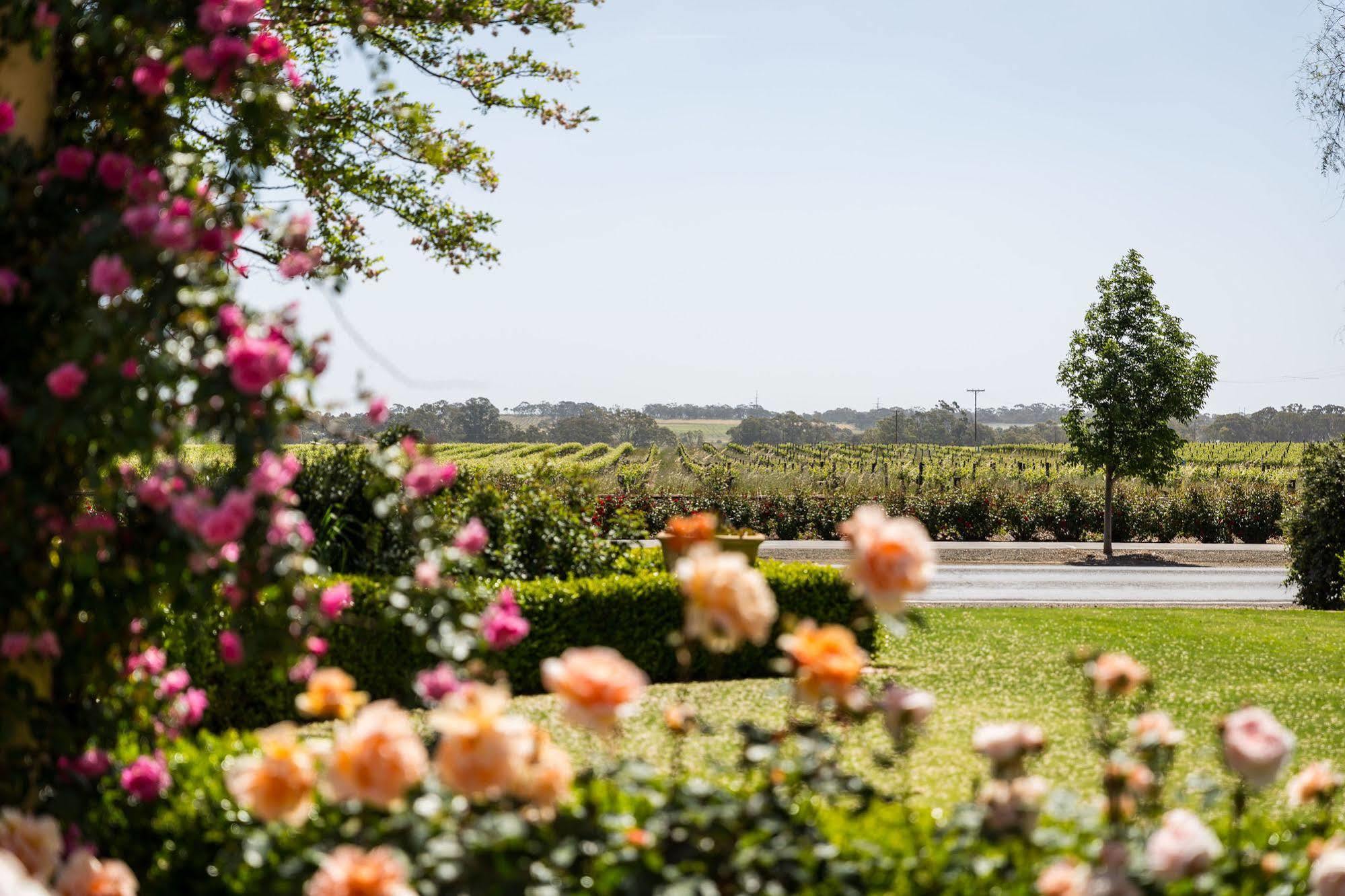 Bed and Breakfast Barossa House Tanunda Exterior foto