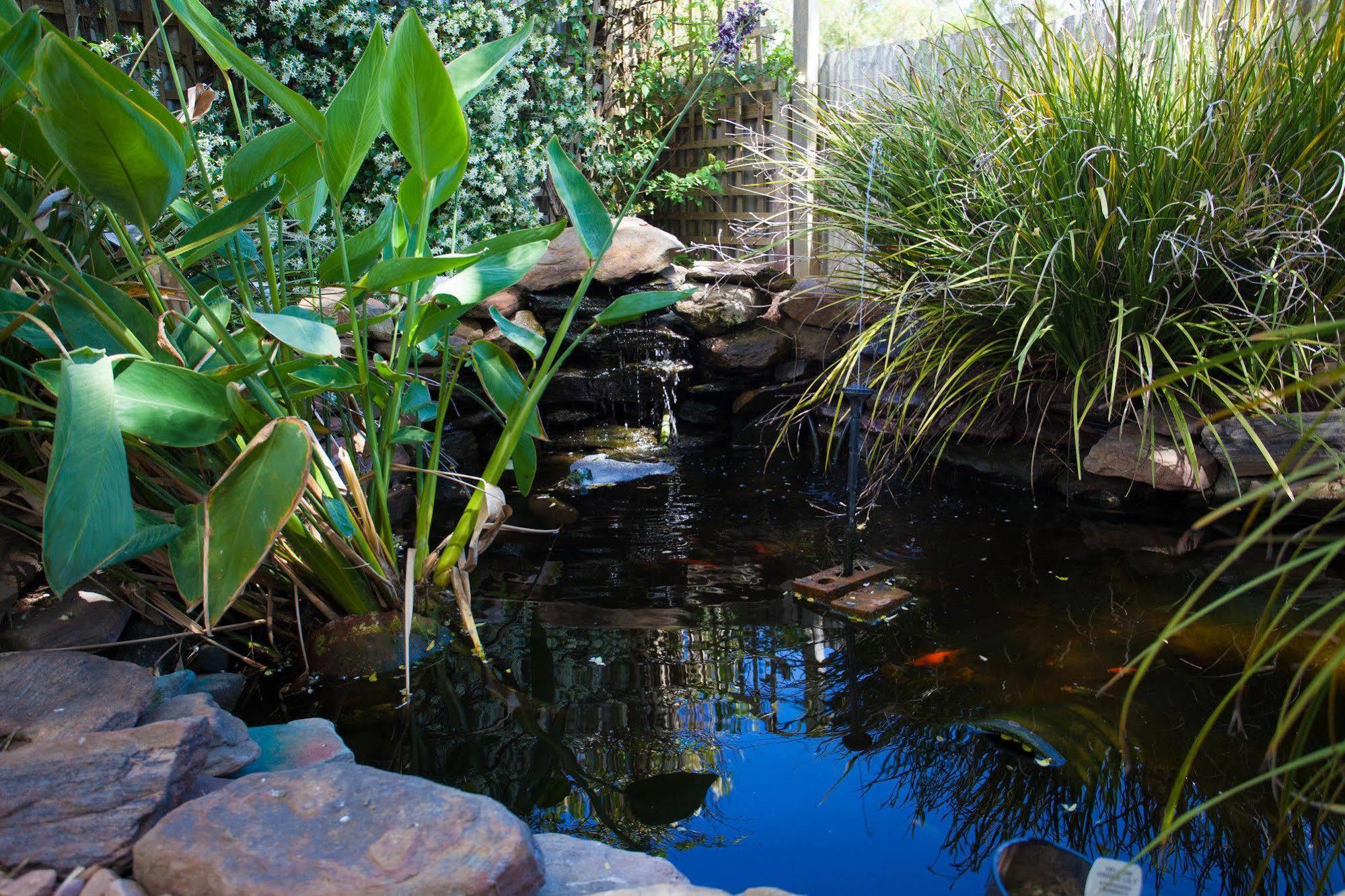 Bed and Breakfast Barossa House Tanunda Exterior foto